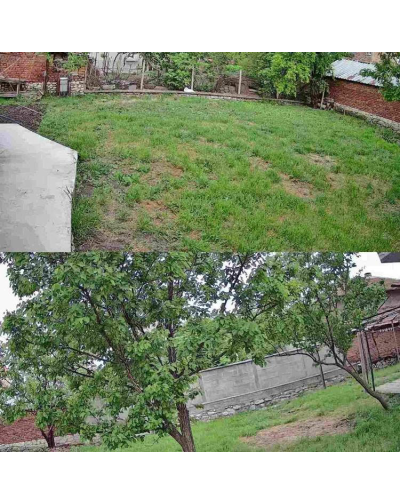 image_2025-03-28_012617672